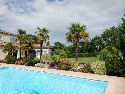 Devis pour un jardin autour de ma piscine Rabastens