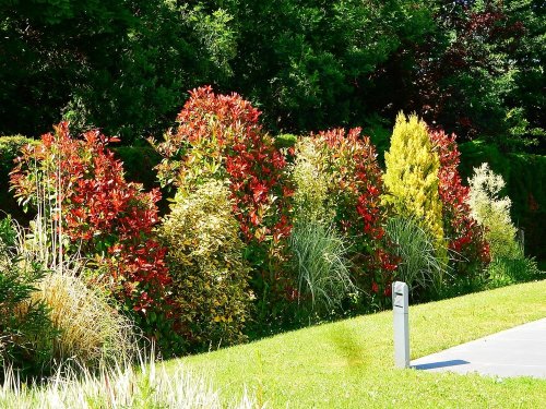 Devis potager ornemental Toulouse