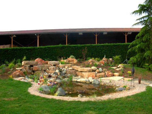 Création d'un bassin dans un jardin à côté de Toulouse