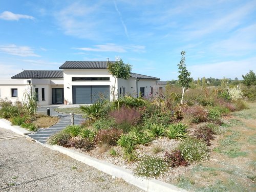 Jardin Nature : Pionniers du Paillis Passif pour Jardins à Toulouse