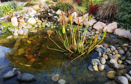 Conception d'un bassin naturel à L'Union