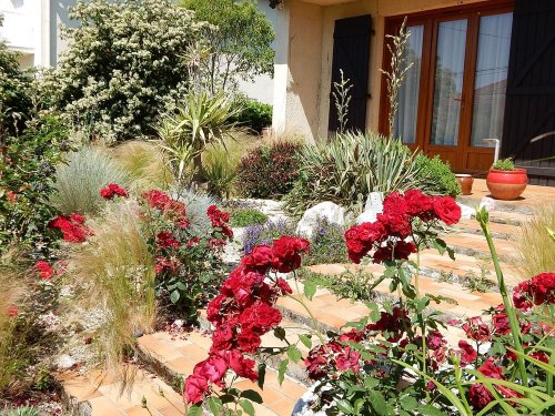 Devis pour un jardin autour de ma piscine Toulouse